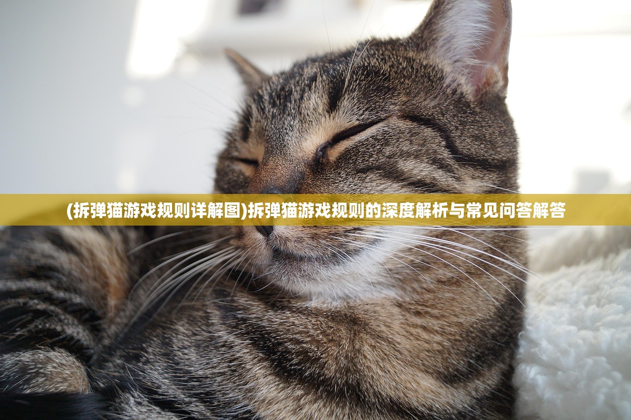 (拆弹猫游戏规则详解图)拆弹猫游戏规则的深度解析与常见问答解答