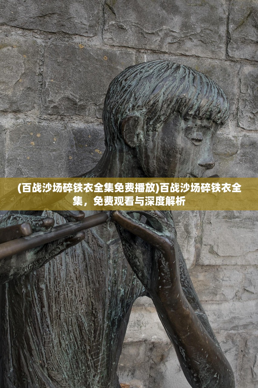 (百战沙场碎铁衣全集免费播放)百战沙场碎铁衣全集，免费观看与深度解析