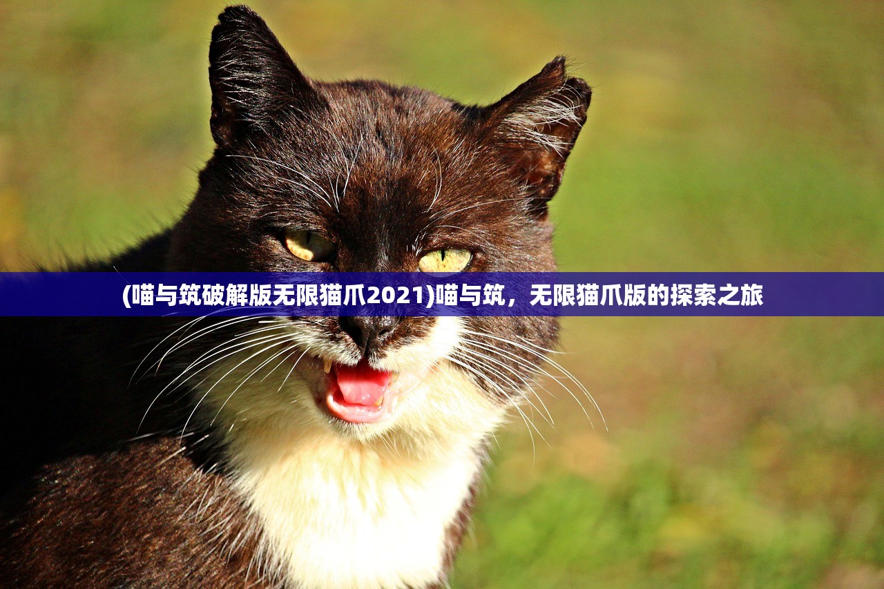 (喵与筑破解版无限猫爪2021)喵与筑，无限猫爪版的探索之旅