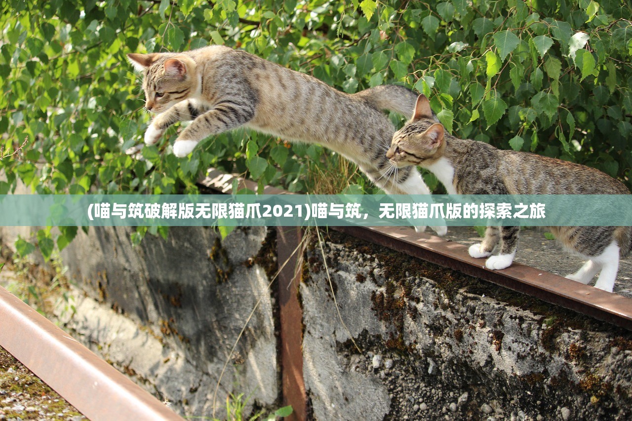 (喵与筑破解版无限猫爪2021)喵与筑，无限猫爪版的探索之旅