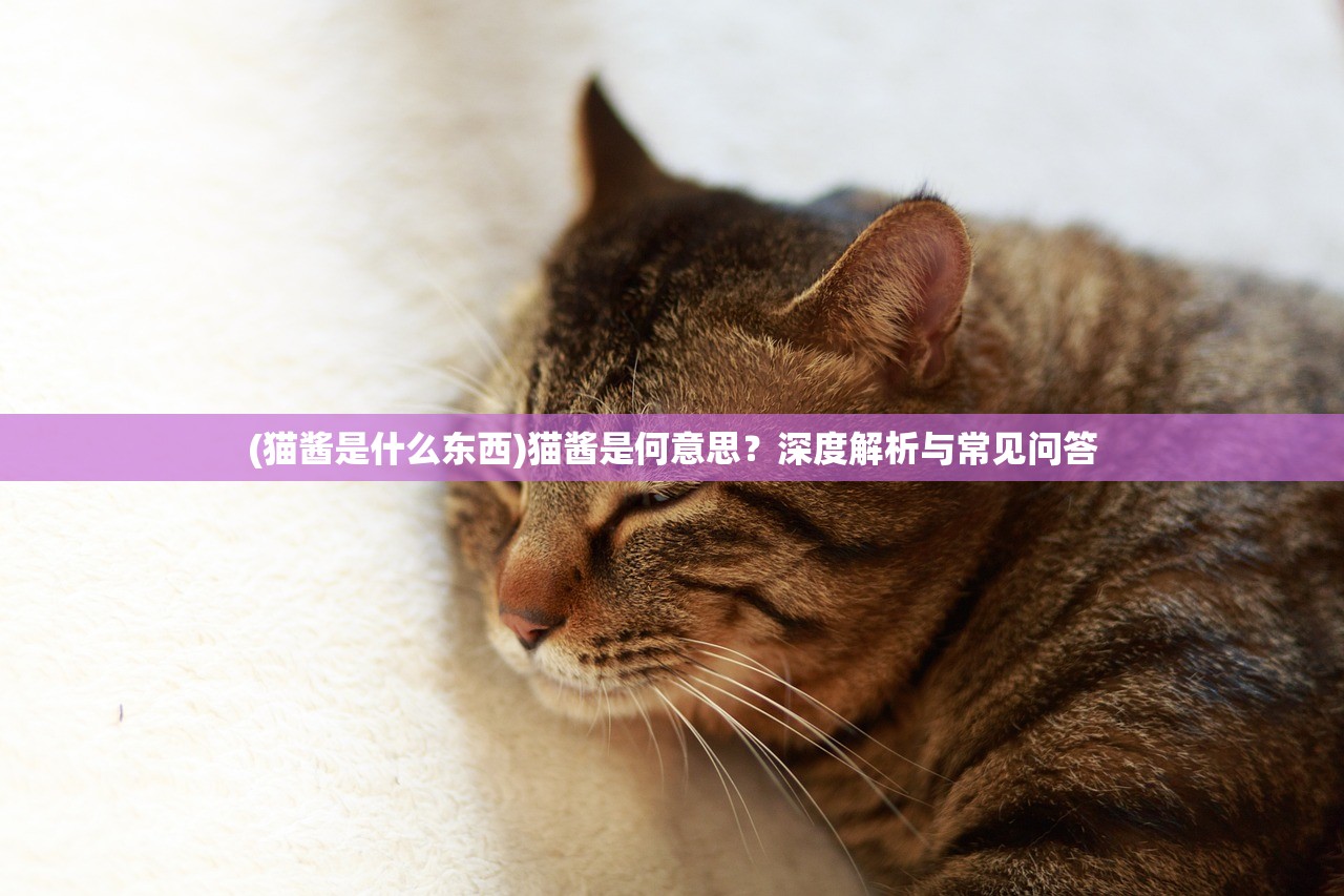 (猫酱是什么东西)猫酱是何意思？深度解析与常见问答