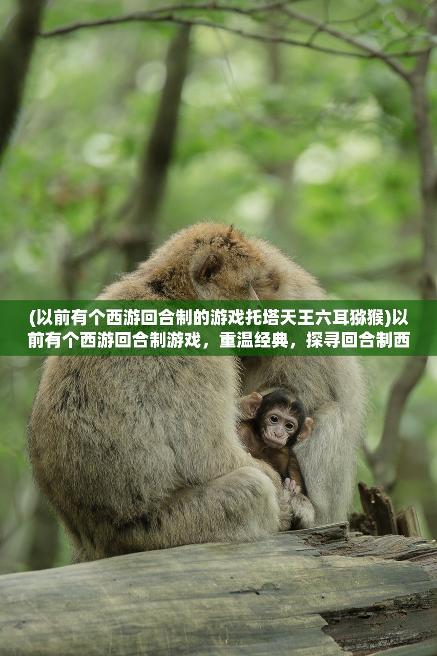 (以前有个西游回合制的游戏托塔天王六耳猕猴)以前有个西游回合制游戏，重温经典，探寻回合制西游的魅力