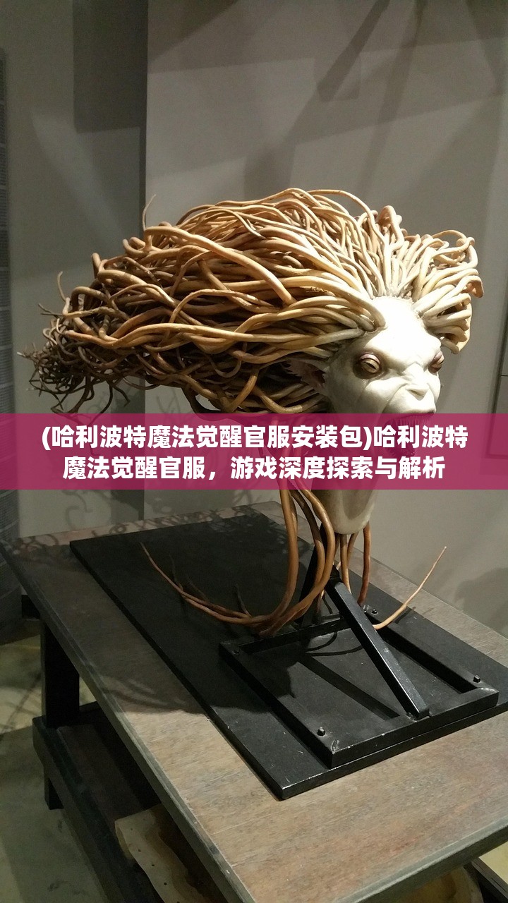 (哈利波特魔法觉醒官服安装包)哈利波特魔法觉醒官服，游戏深度探索与解析