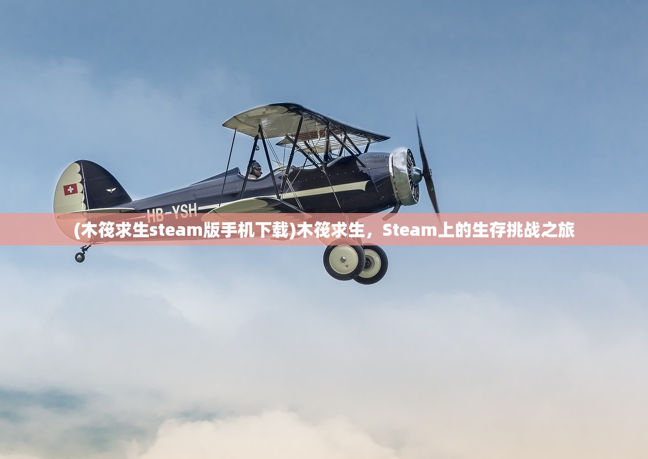 (木筏求生steam版手机下载)木筏求生，Steam上的生存挑战之旅