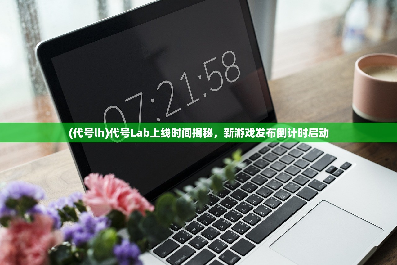 (代号lh)代号Lab上线时间揭秘，新游戏发布倒计时启动
