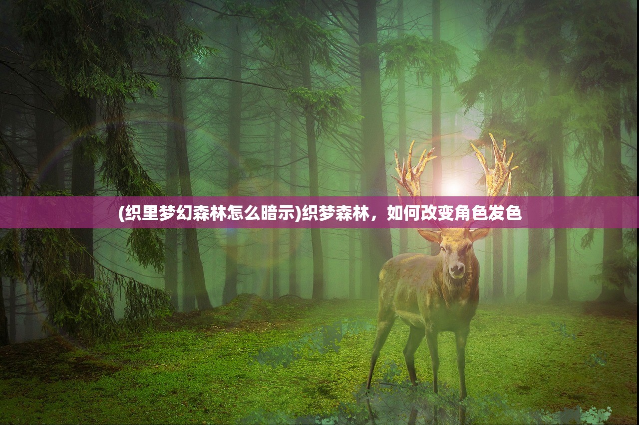 (织里梦幻森林怎么暗示)织梦森林，如何改变角色发色