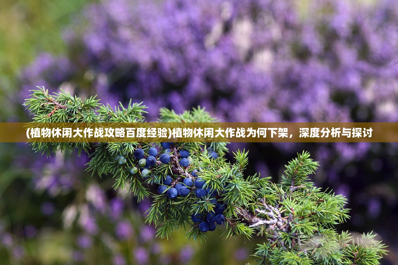(植物休闲大作战攻略百度经验)植物休闲大作战为何下架，深度分析与探讨