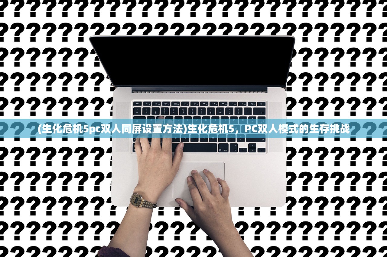 (生化危机5pc双人同屏设置方法)生化危机5，PC双人模式的生存挑战