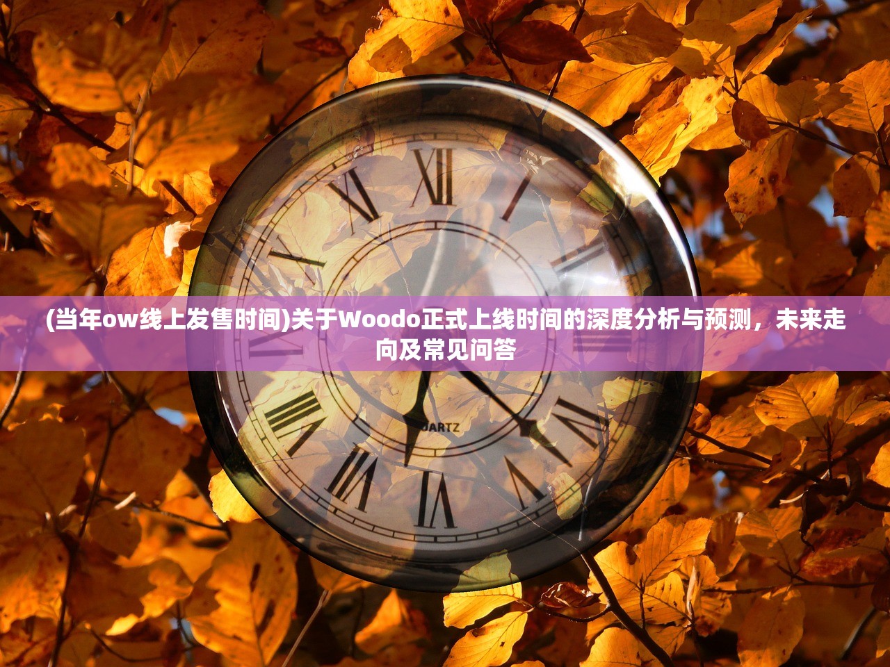 (当年ow线上发售时间)关于Woodo正式上线时间的深度分析与预测，未来走向及常见问答