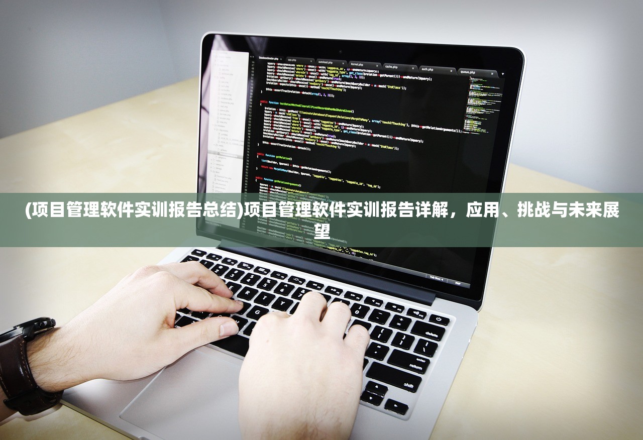 (项目管理软件实训报告总结)项目管理软件实训报告详解，应用、挑战与未来展望