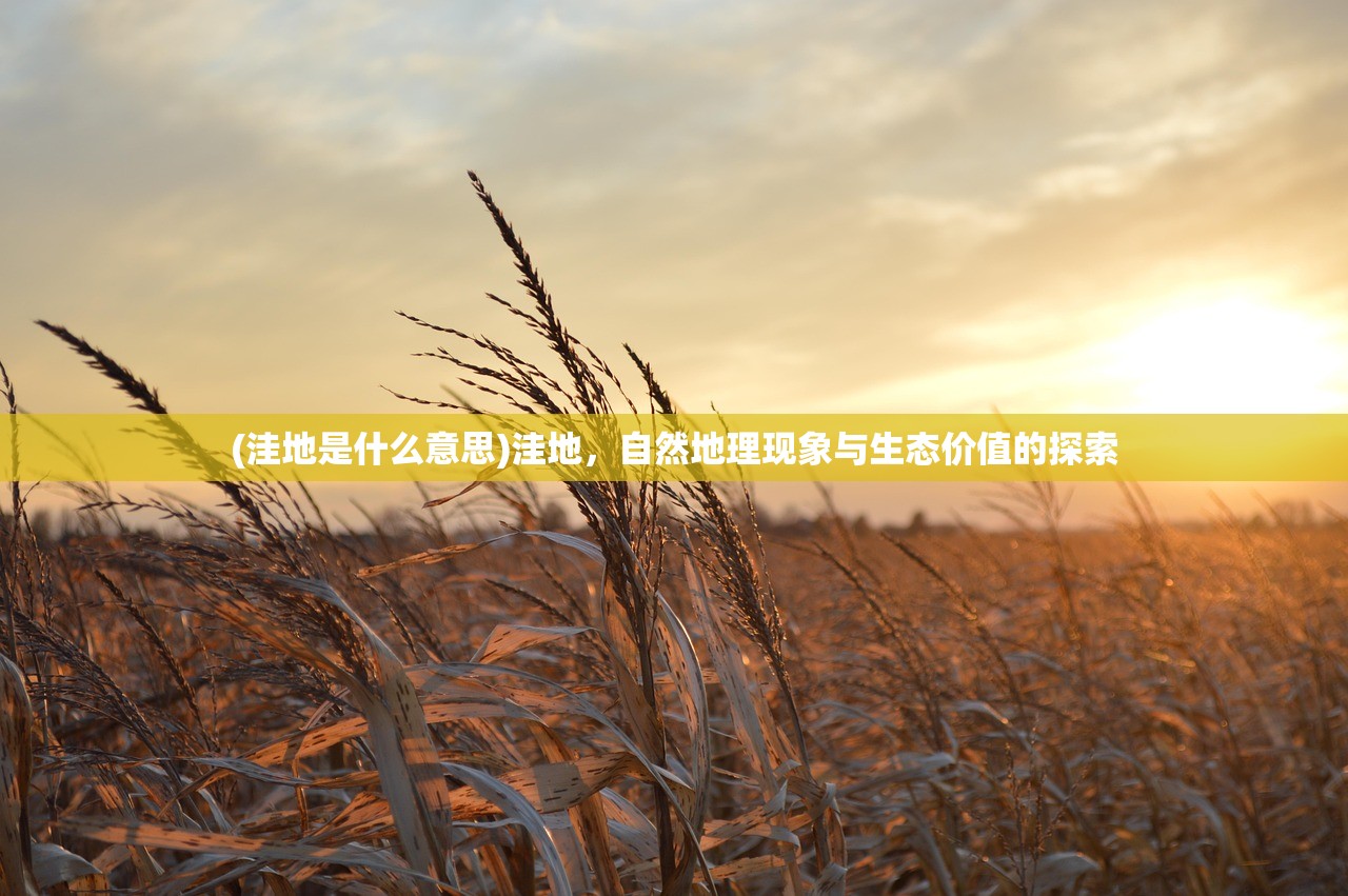 (洼地是什么意思)洼地，自然地理现象与生态价值的探索