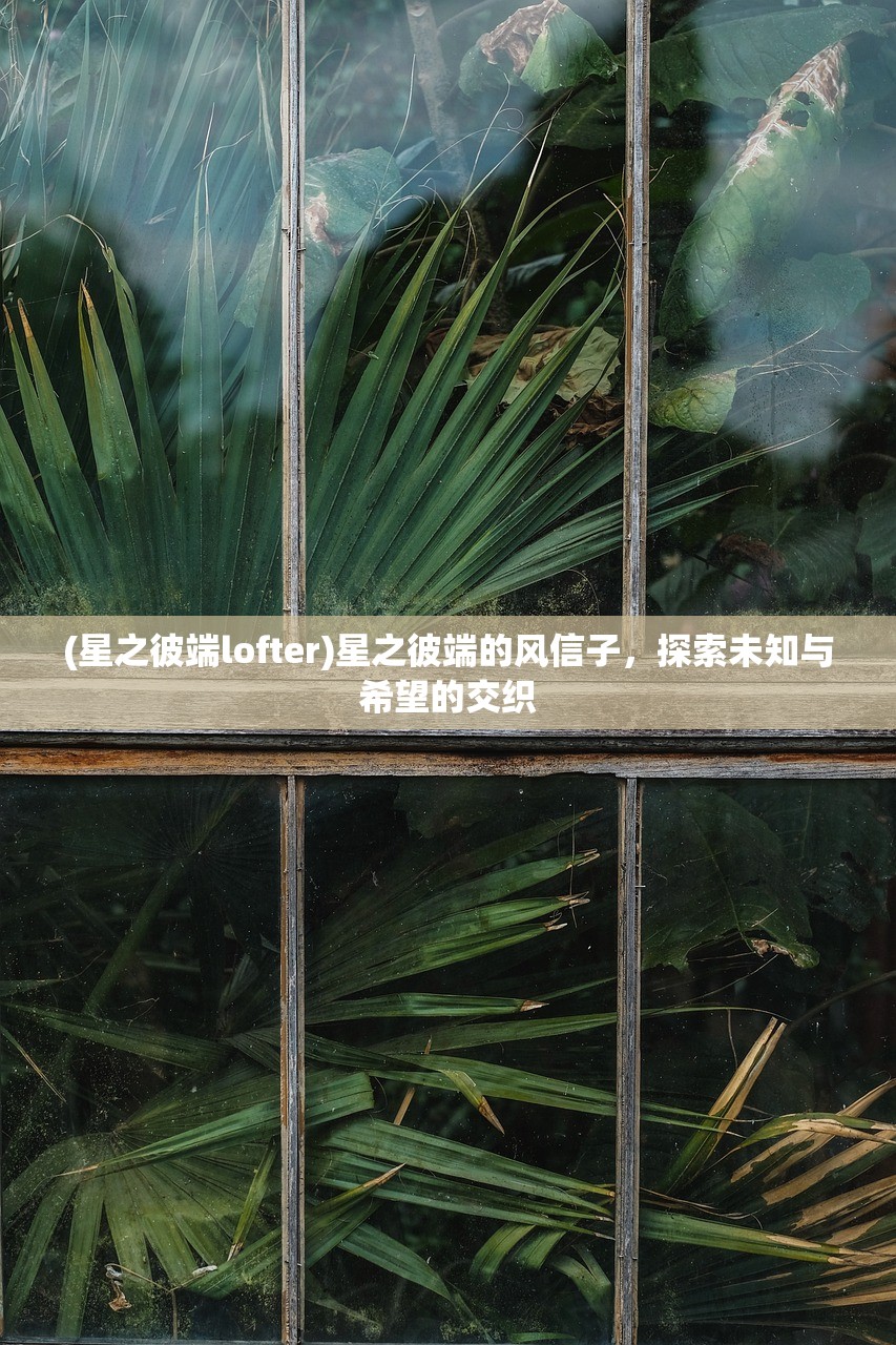(星之彼端lofter)星之彼端的风信子，探索未知与希望的交织