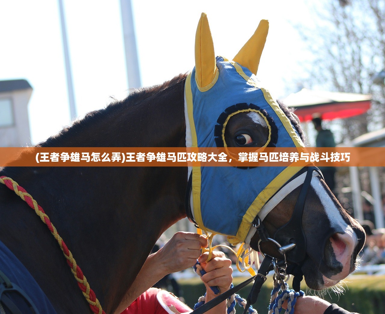 (王者争雄马怎么弄)王者争雄马匹攻略大全，掌握马匹培养与战斗技巧