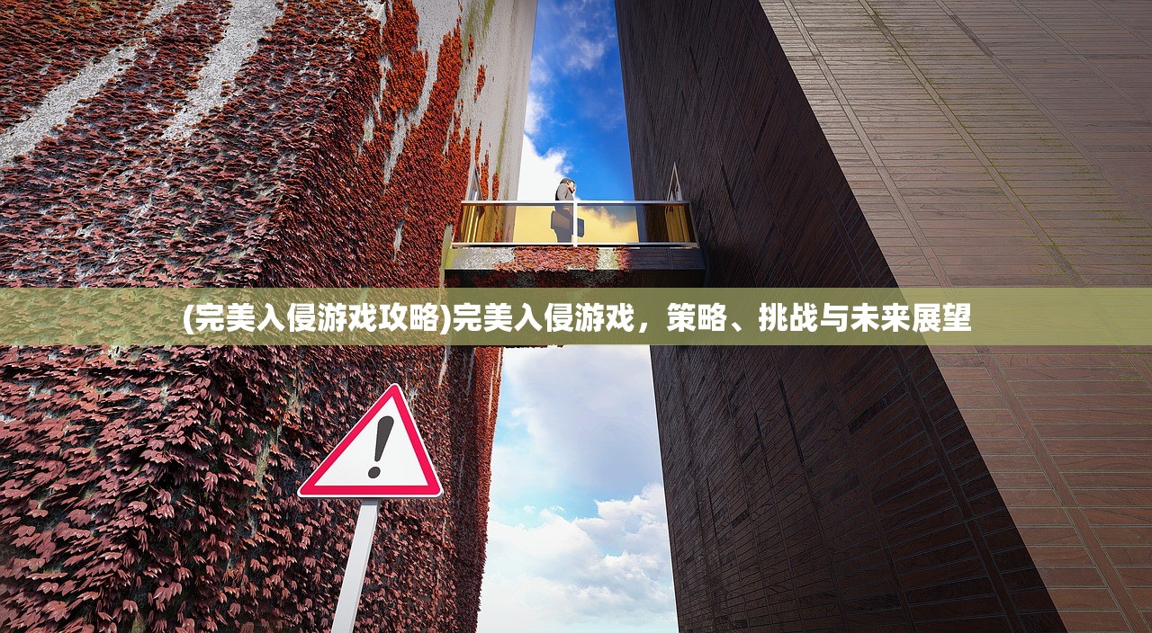 (完美入侵游戏攻略)完美入侵游戏，策略、挑战与未来展望