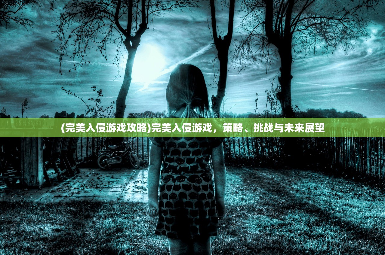 (完美入侵游戏攻略)完美入侵游戏，策略、挑战与未来展望