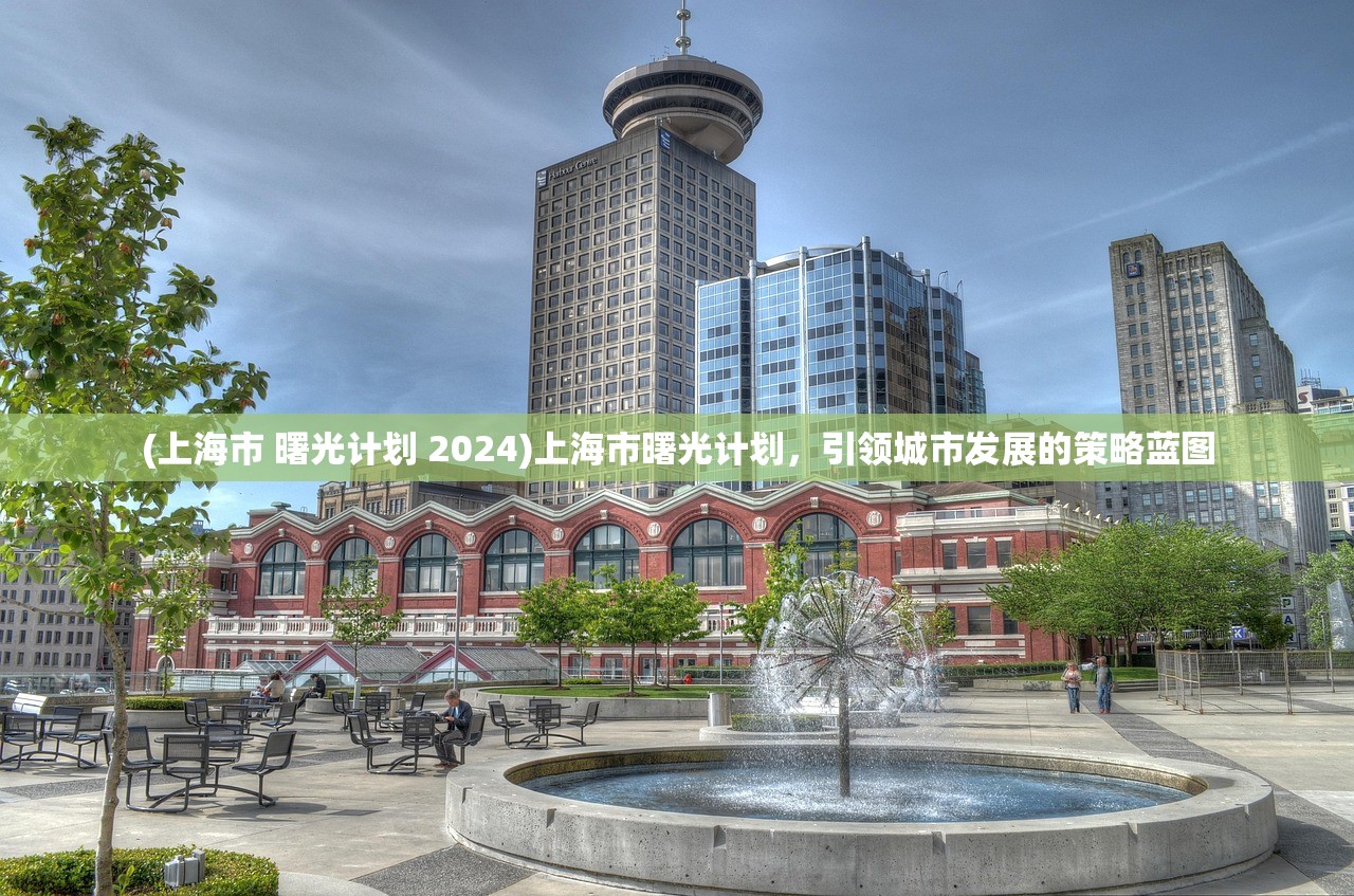 (上海市 曙光计划 2024)上海市曙光计划，引领城市发展的策略蓝图