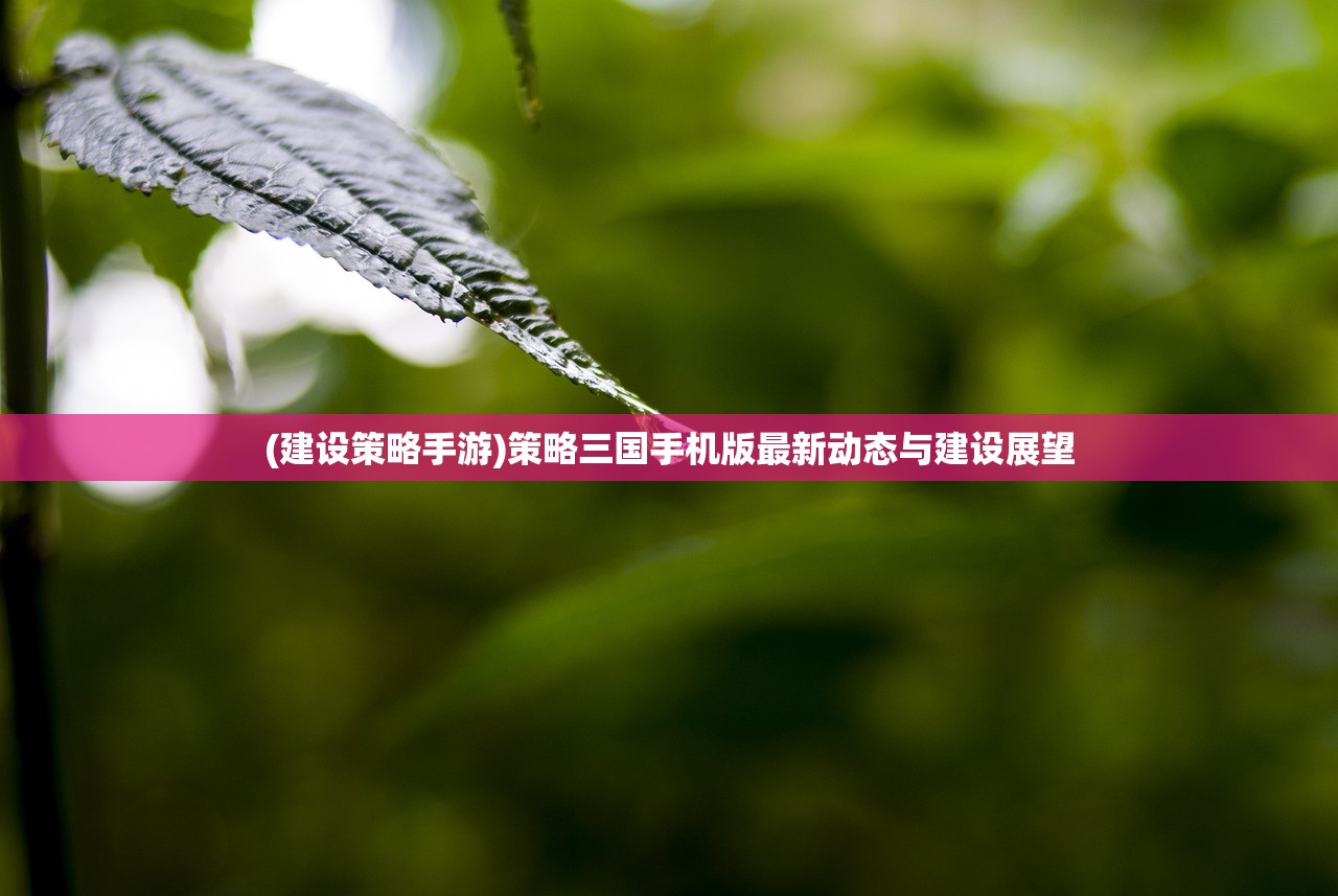 (建设策略手游)策略三国手机版最新动态与建设展望