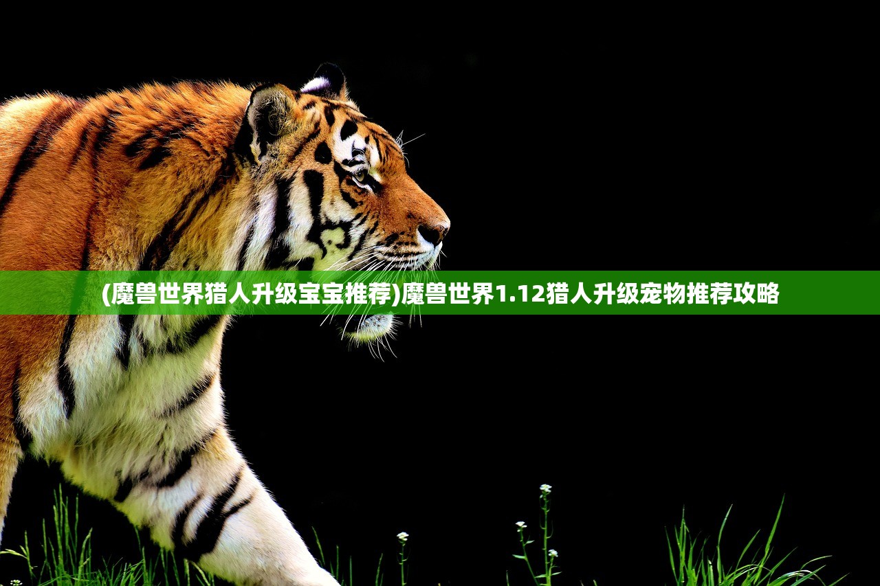(魔兽世界猎人升级宝宝推荐)魔兽世界1.12猎人升级宠物推荐攻略