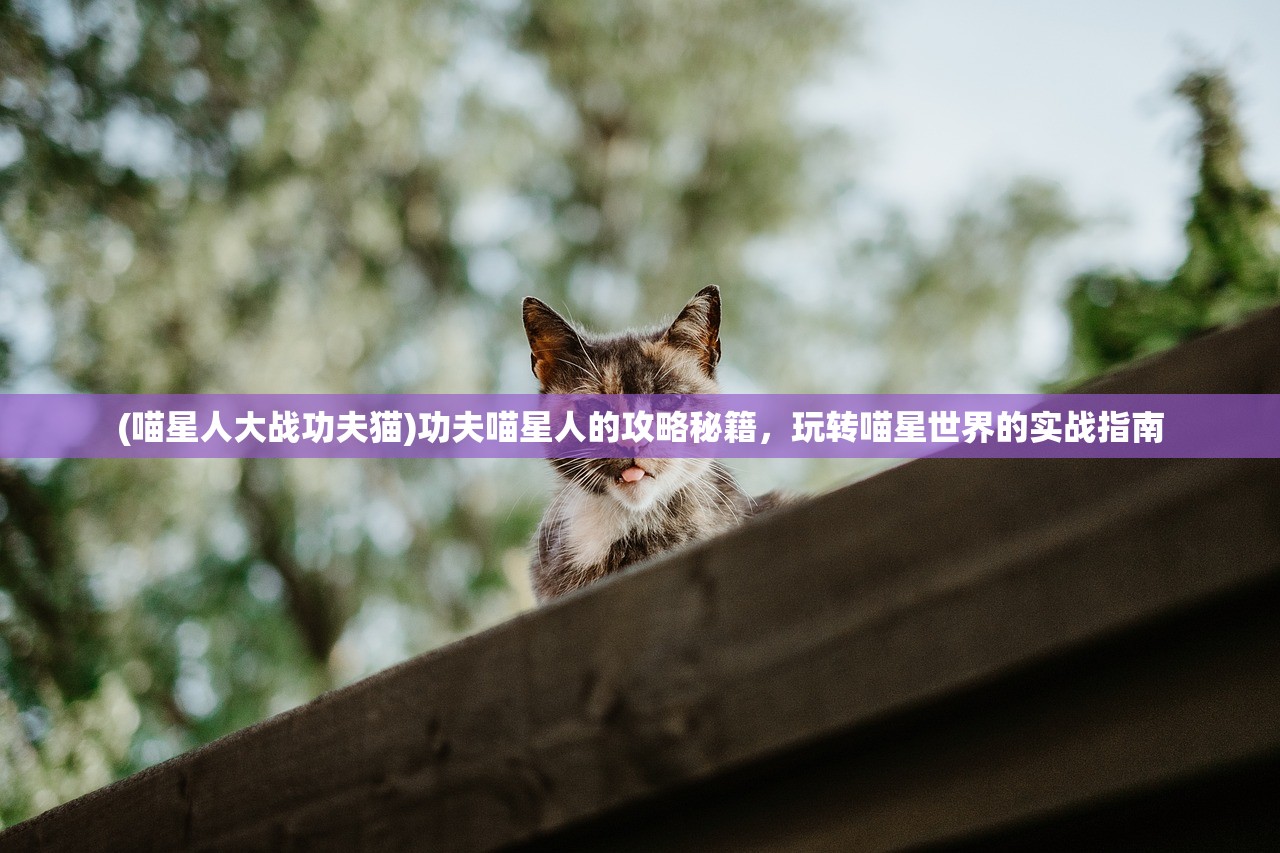 (喵星人大战功夫猫)功夫喵星人的攻略秘籍，玩转喵星世界的实战指南