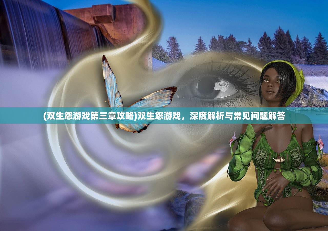 (双生怨游戏第三章攻略)双生怨游戏，深度解析与常见问题解答