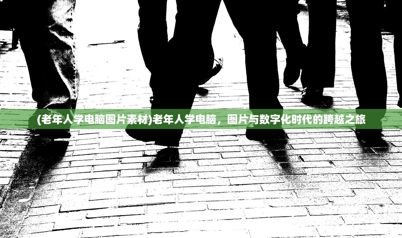 (老年人学电脑图片素材)老年人学电脑，图片与数字化时代的跨越之旅