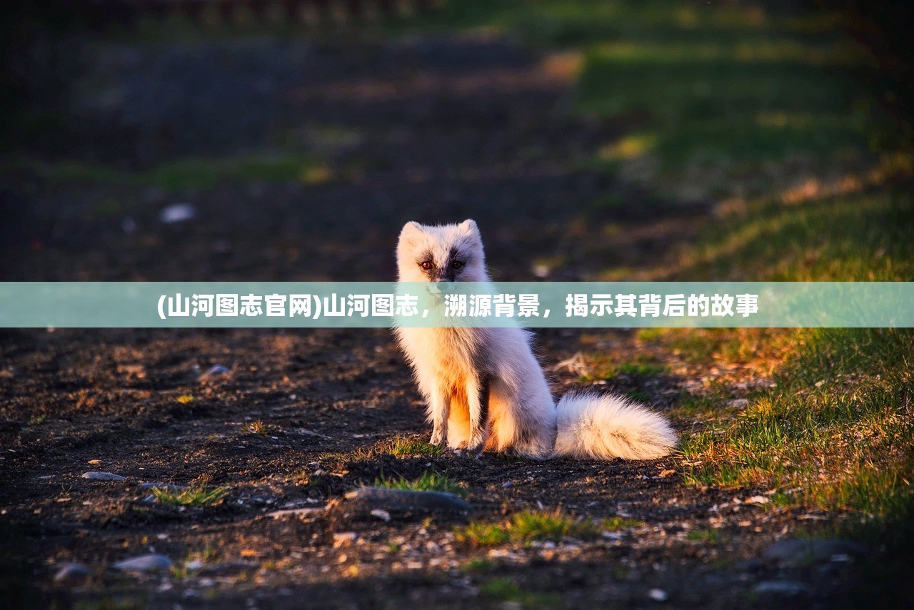 (山河图志官网)山河图志，溯源背景，揭示其背后的故事