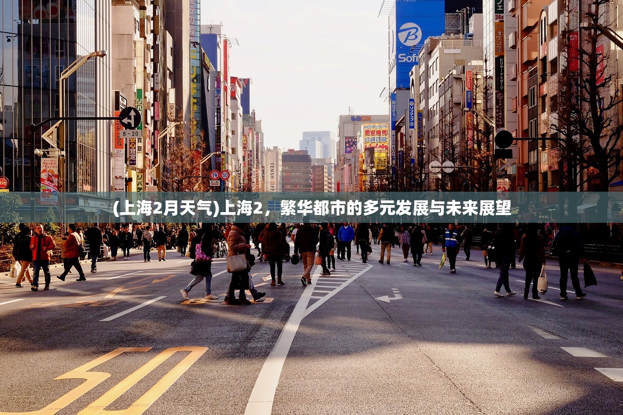 (上海2月天气)上海2，繁华都市的多元发展与未来展望