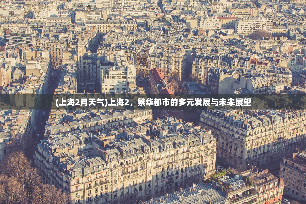 (上海2月天气)上海2，繁华都市的多元发展与未来展望