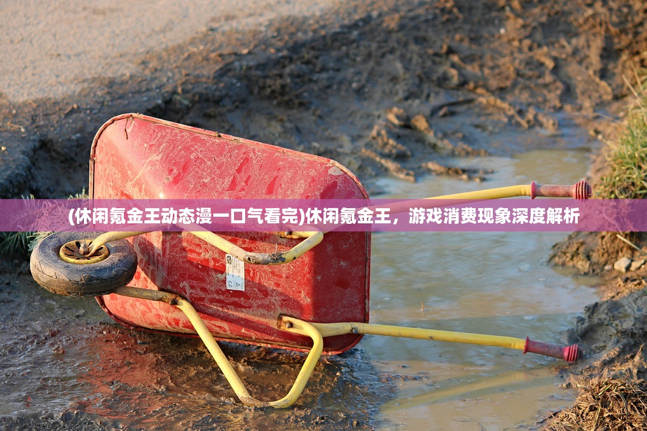 (休闲氪金王动态漫一口气看完)休闲氪金王，游戏消费现象深度解析