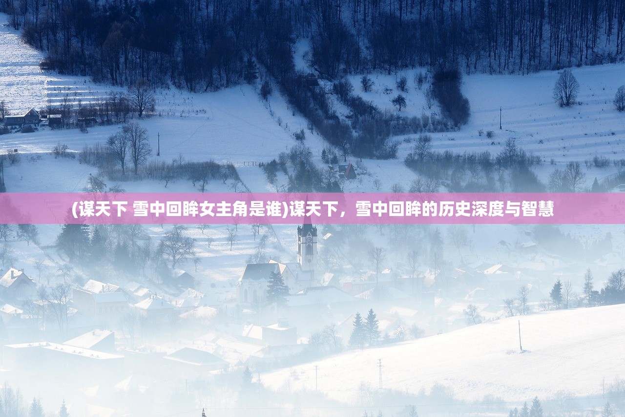 (谋天下 雪中回眸女主角是谁)谋天下，雪中回眸的历史深度与智慧