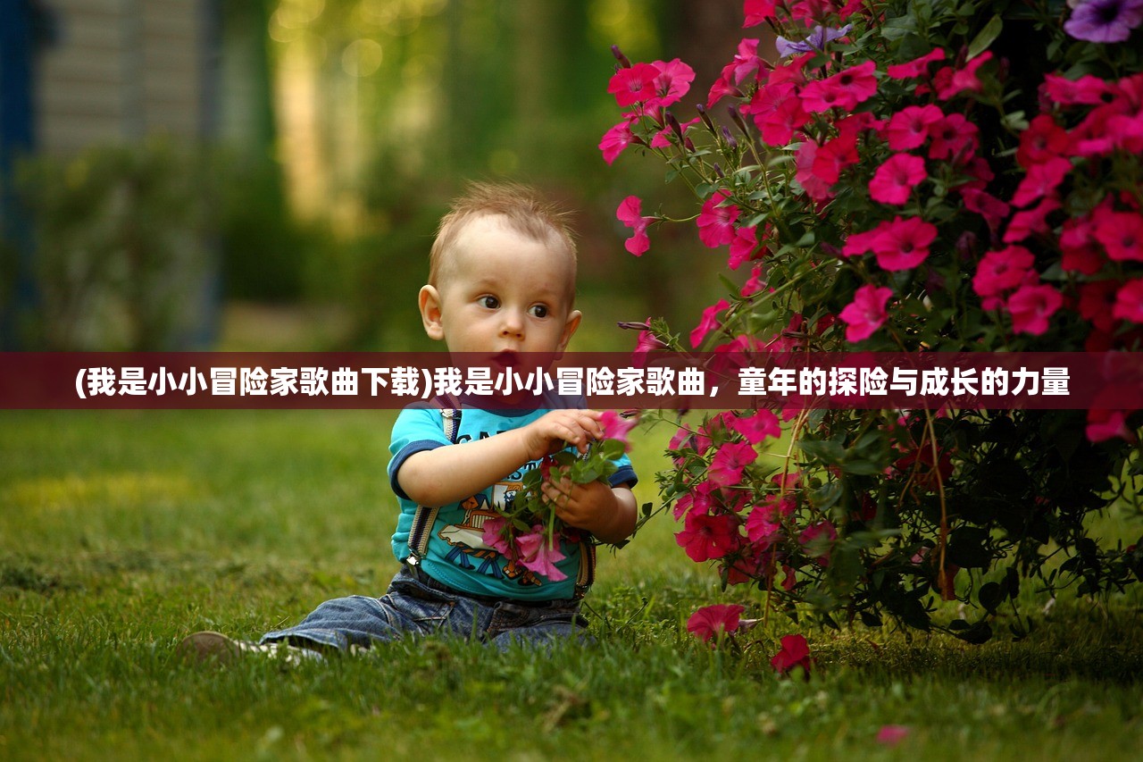 (我是小小冒险家歌曲下载)我是小小冒险家歌曲，童年的探险与成长的力量