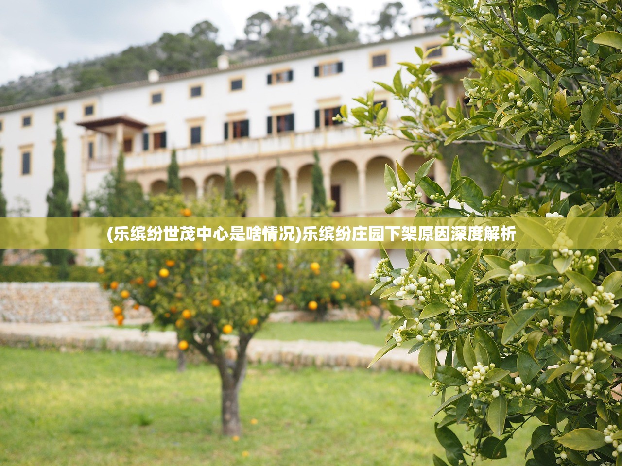 (乐缤纷世茂中心是啥情况)乐缤纷庄园下架原因深度解析