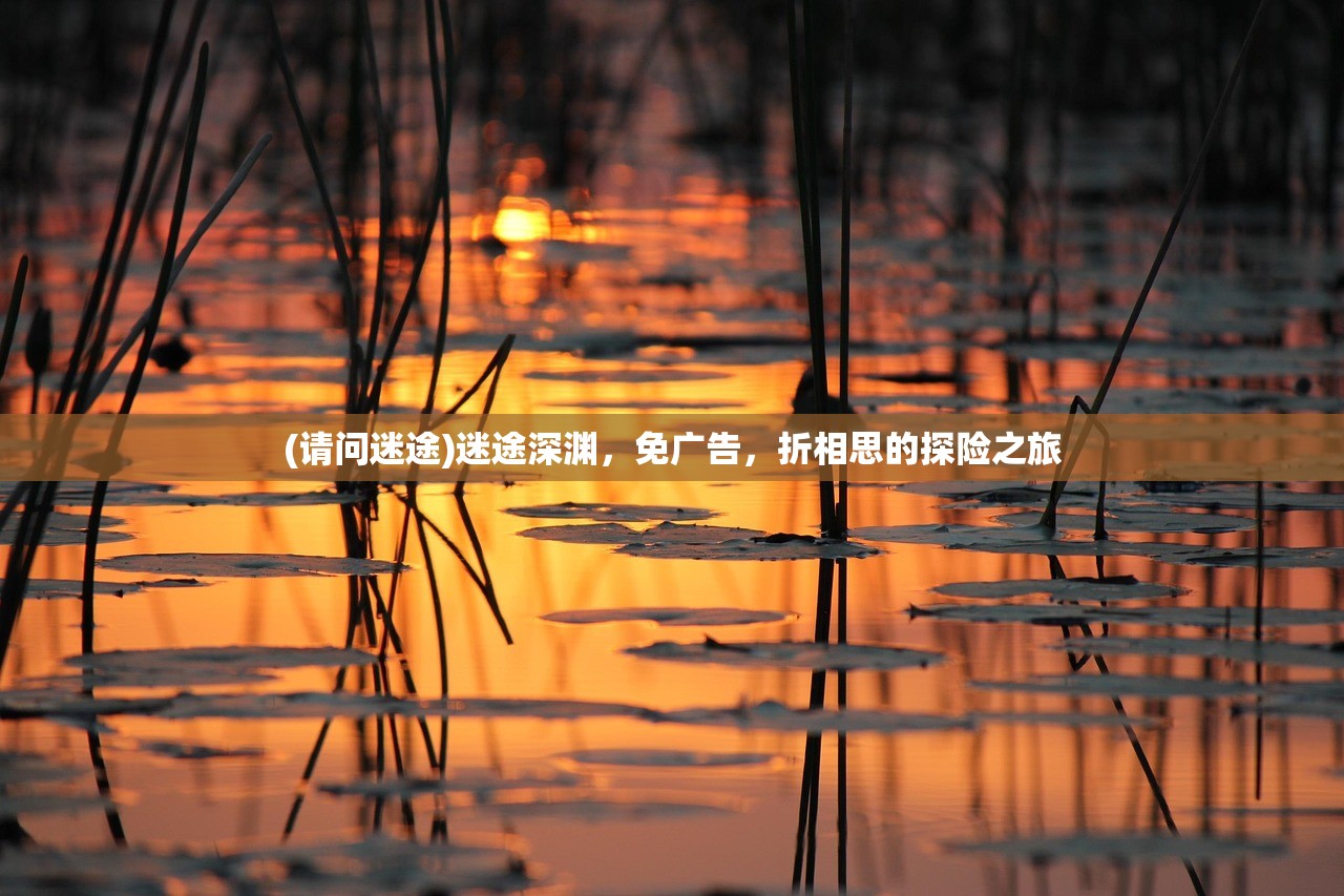 (请问迷途)迷途深渊，免广告，折相思的探险之旅