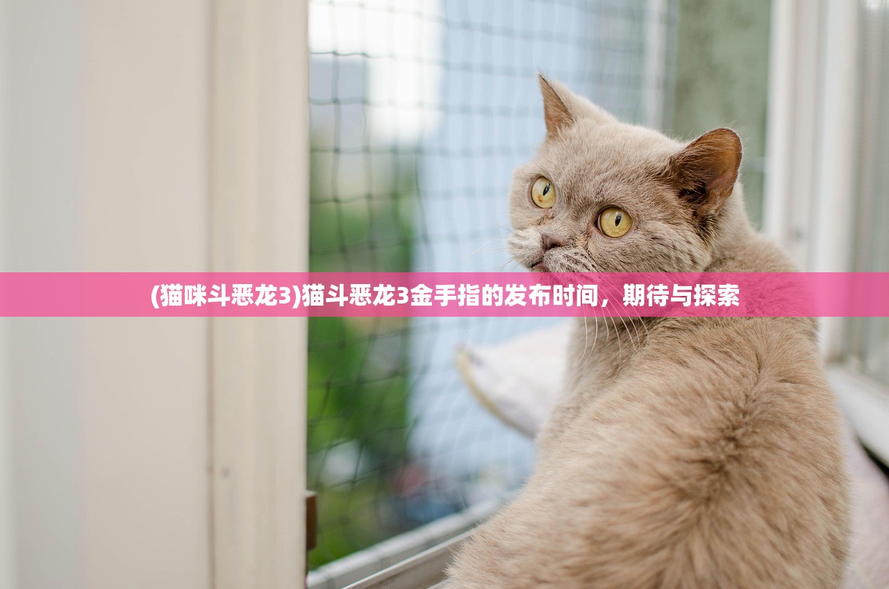 (猫咪斗恶龙3)猫斗恶龙3金手指的发布时间，期待与探索
