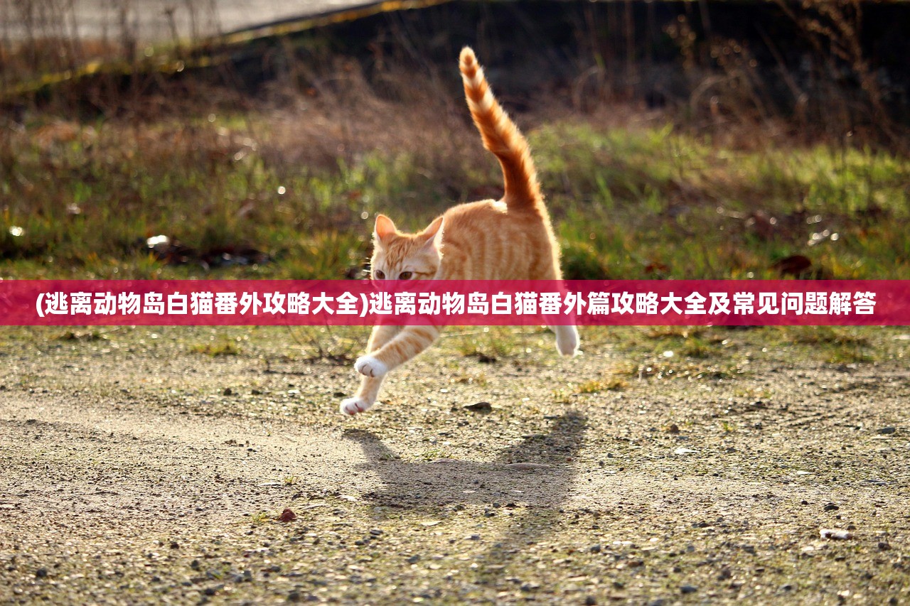 (逃离动物岛白猫番外攻略大全)逃离动物岛白猫番外篇攻略大全及常见问题解答