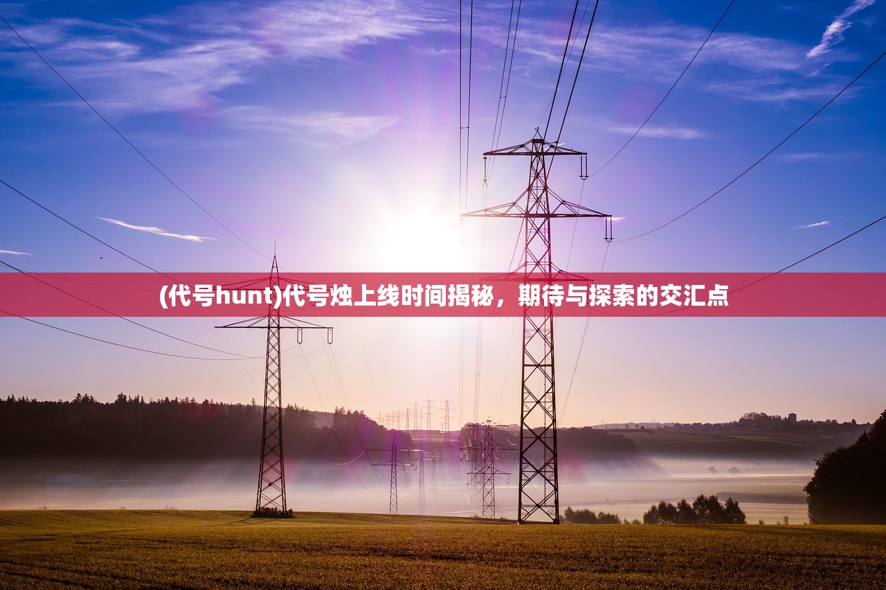 (代号hunt)代号烛上线时间揭秘，期待与探索的交汇点