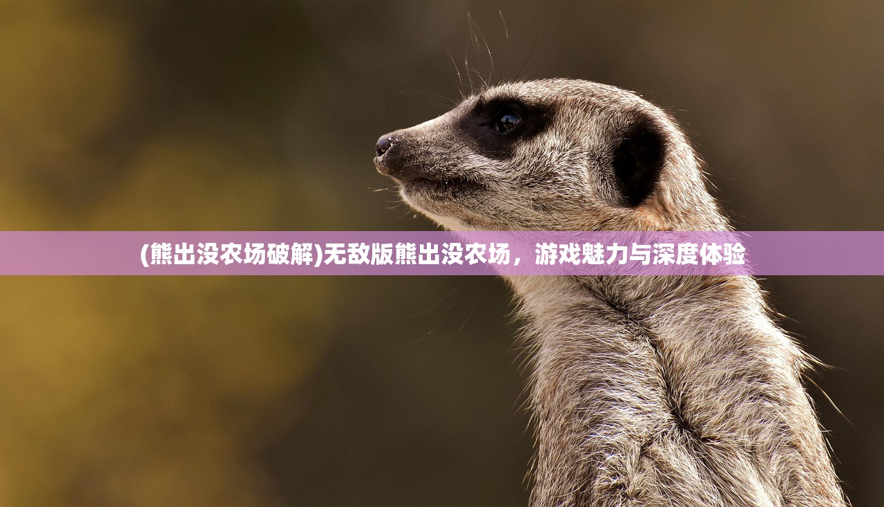 (熊出没农场破解)无敌版熊出没农场，游戏魅力与深度体验