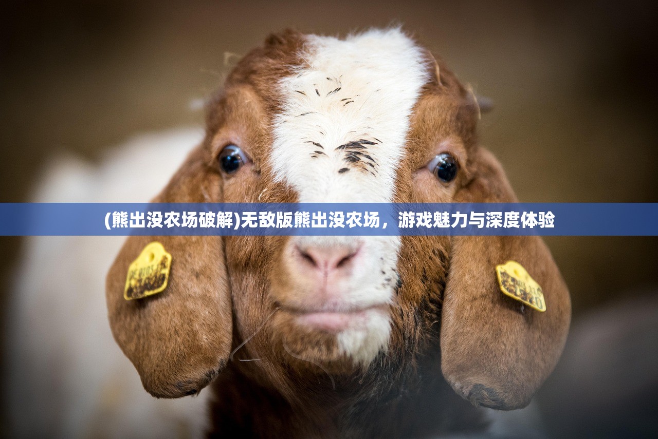 (熊出没农场破解)无敌版熊出没农场，游戏魅力与深度体验
