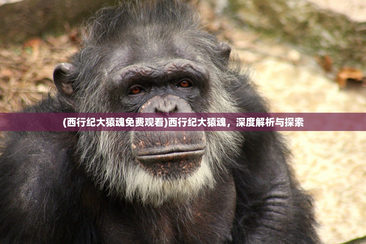 (西行纪大猿魂免费观看)西行纪大猿魂，深度解析与探索