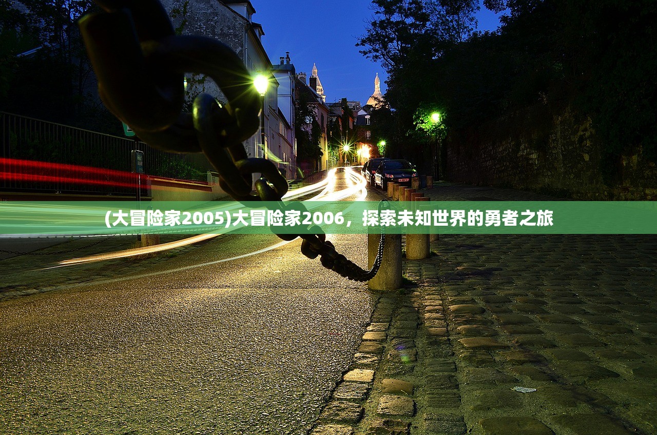 (大冒险家2005)大冒险家2006，探索未知世界的勇者之旅