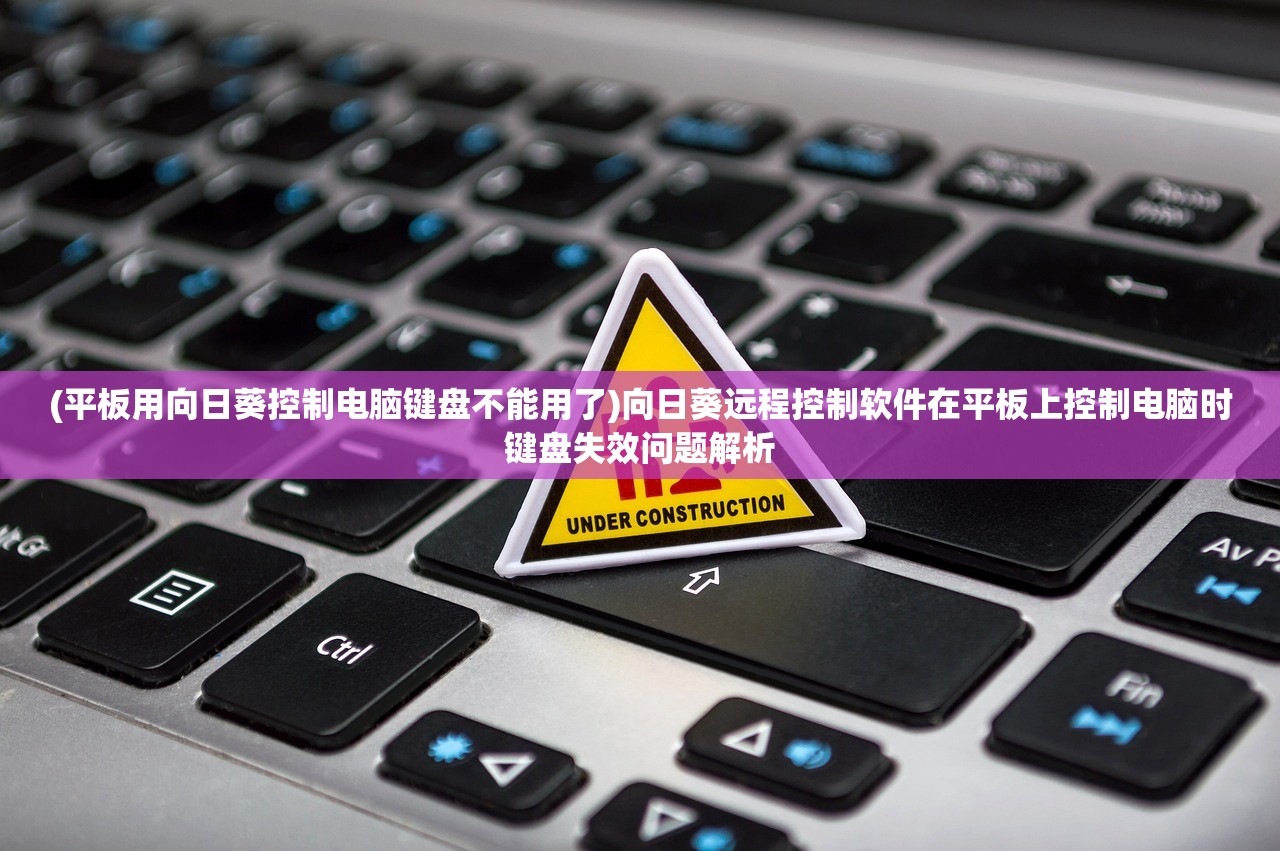 (平板用向日葵控制电脑键盘不能用了)向日葵远程控制软件在平板上控制电脑时键盘失效问题解析