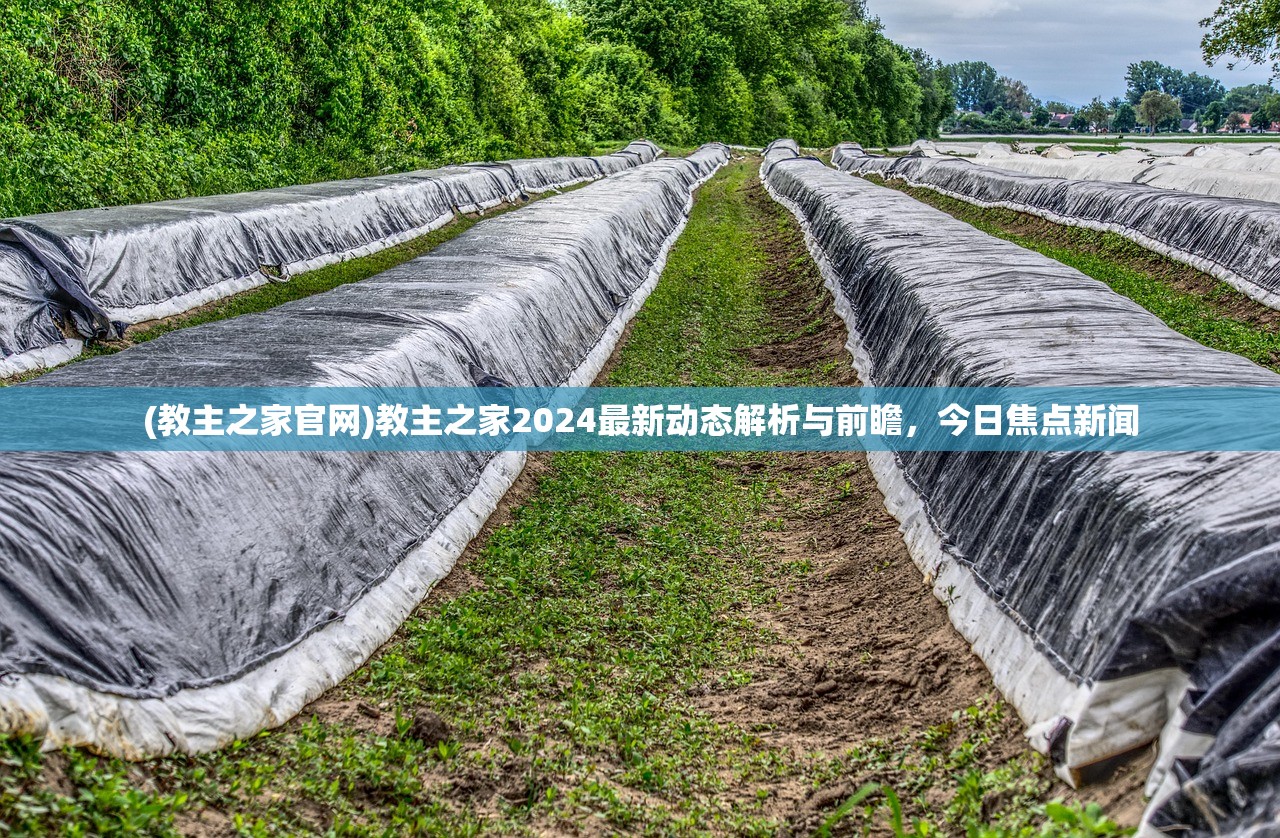(教主之家官网)教主之家2024最新动态解析与前瞻，今日焦点新闻