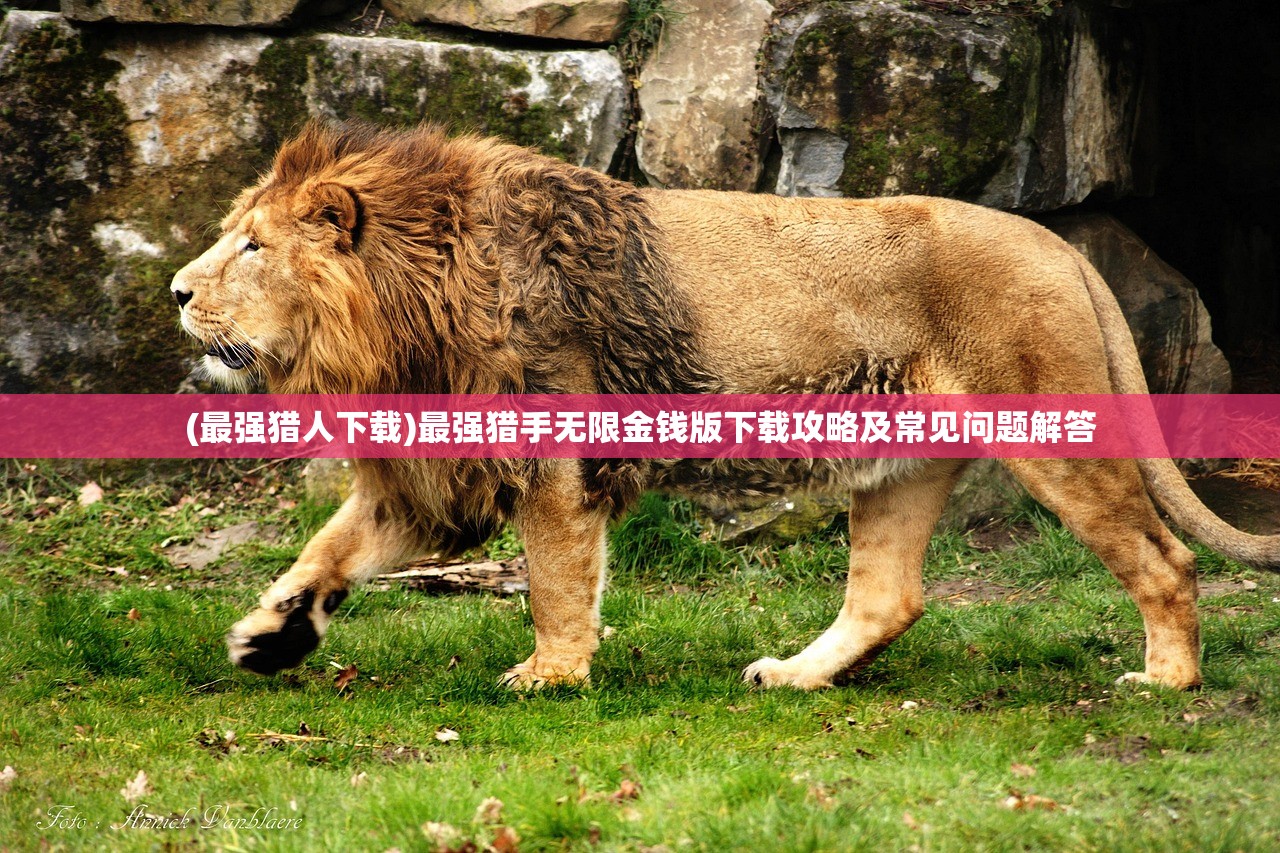 (最强猎人下载)最强猎手无限金钱版下载攻略及常见问题解答