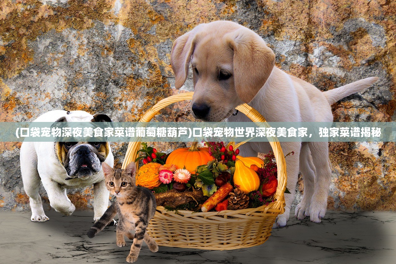 (口袋宠物深夜美食家菜谱葡萄糖葫芦)口袋宠物世界深夜美食家，独家菜谱揭秘