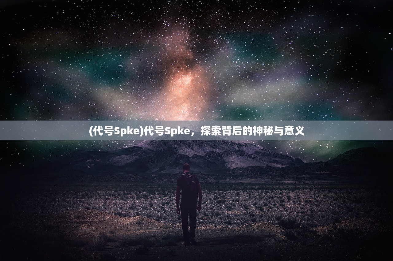 (代号Spke)代号Spke，探索背后的神秘与意义