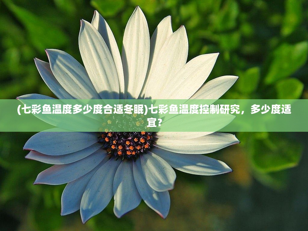 (七彩鱼温度多少度合适冬眠)七彩鱼温度控制研究，多少度适宜？