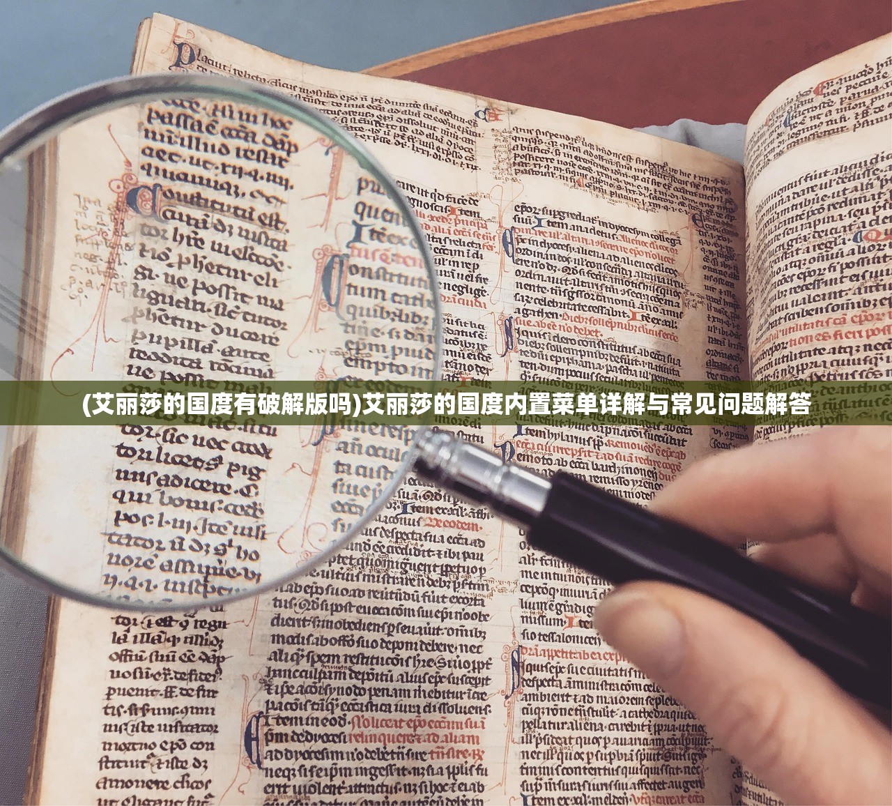 (艾丽莎的国度有破解版吗)艾丽莎的国度内置菜单详解与常见问题解答