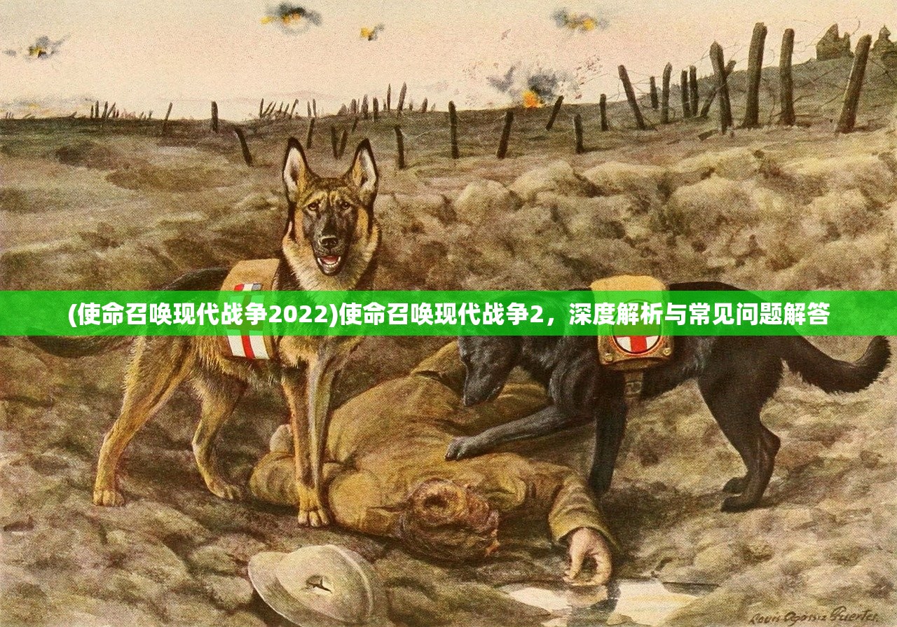 (使命召唤现代战争2022)使命召唤现代战争2，深度解析与常见问题解答