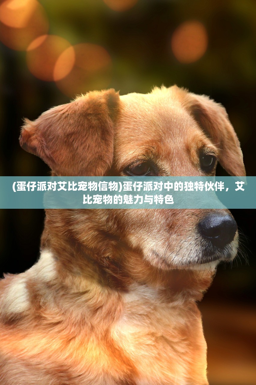 (蛋仔派对艾比宠物信物)蛋仔派对中的独特伙伴，艾比宠物的魅力与特色
