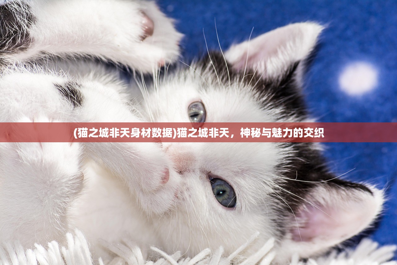(azura英文名)Azrael英文名昵称，多元视角下的深度解析